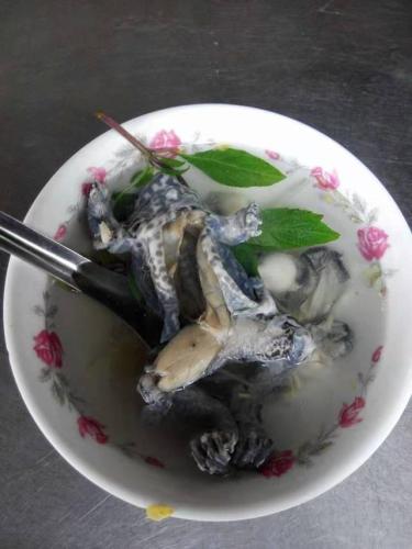 北港傳統青蛙料理