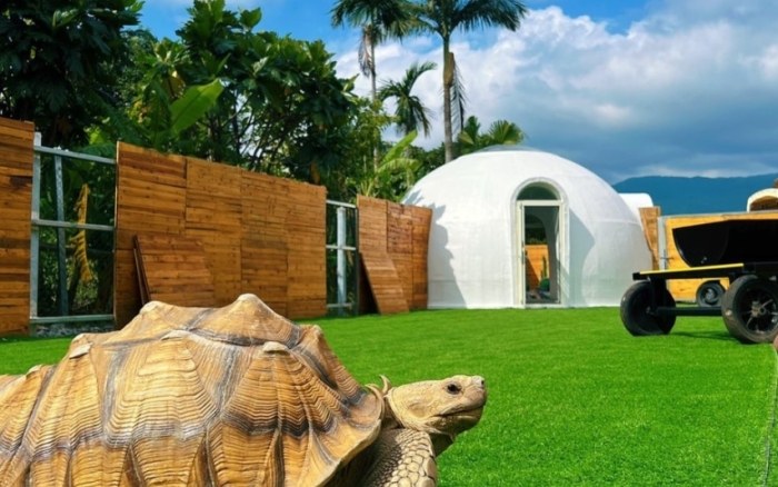 規劃宜蘭親子農場一日遊的實用秘訣